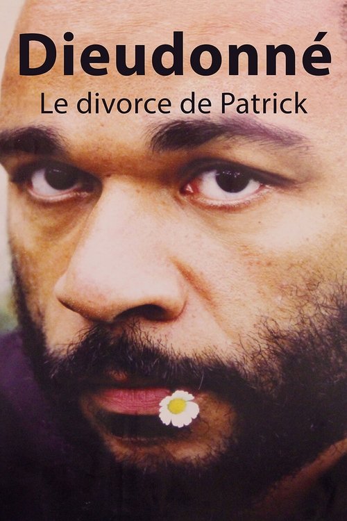 Dieudonné - Le Divorce de Patrick (2003) poster