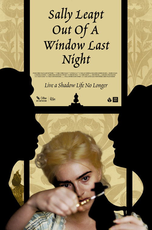 Sally Leapt Out of a Window Last Night (2023) poster