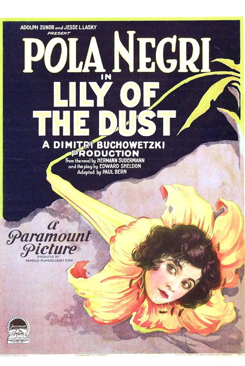 Lily of the Dust (1924) poster