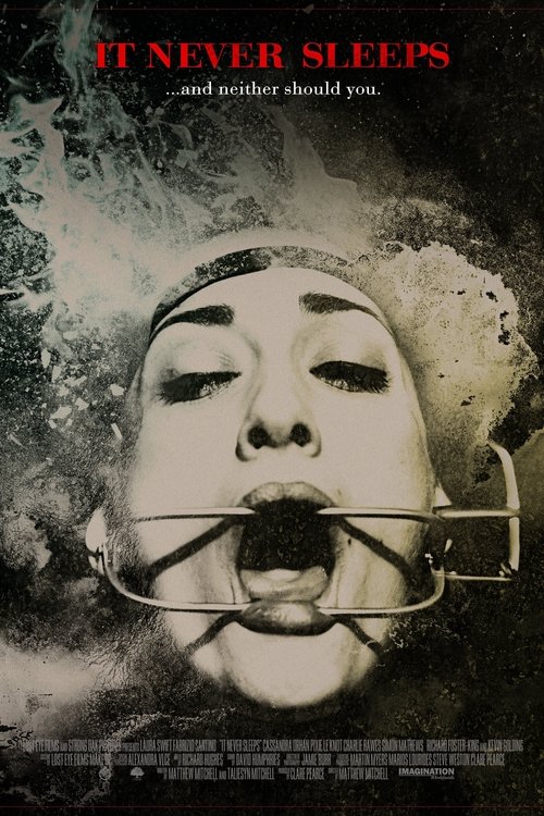 It Never Sleeps (2014) poster