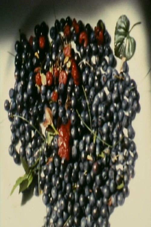 Villa Dionisia (2019) poster