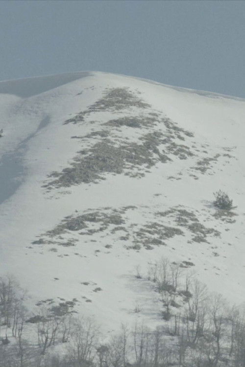 Il mondo di sotto (2017) poster