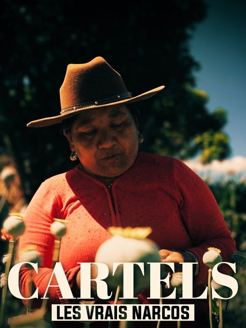 Les vrais Narcos (2020) poster