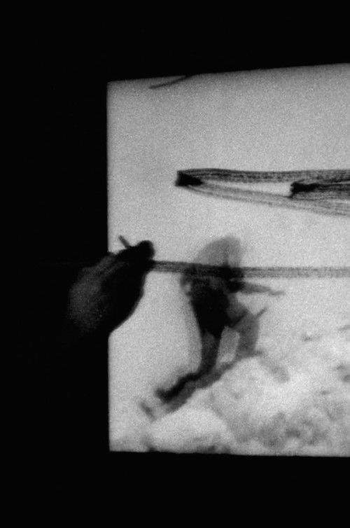 O, Persecuted (2014) poster