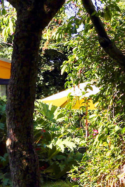 Spender House (2018) poster