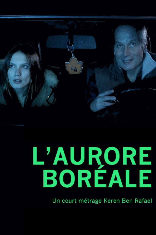 L'Aurore boréale (2013) poster