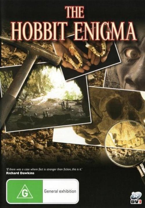 The Hobbit Enigma (2008) poster