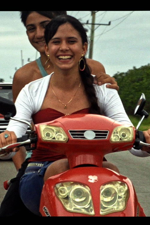 Se por acaso (2016) poster