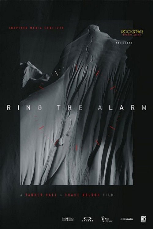 Ring The Alarm (2016) poster