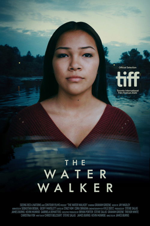 The Water Walker (2020) poster