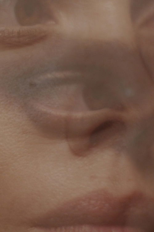 The Past Is a Foreign Country (2018) poster