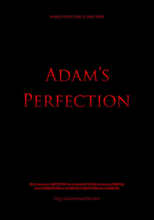 Adam's Perfection poster