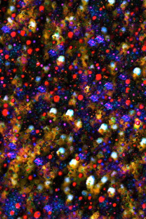 There must be some kind of way out of here (2020) poster