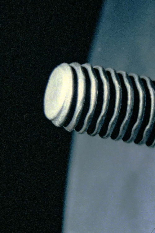 Before During (2024) poster