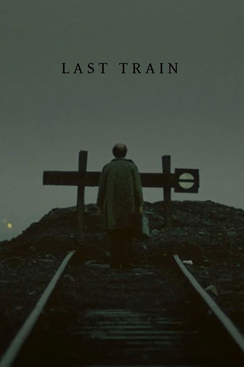 Last Train (2010) poster