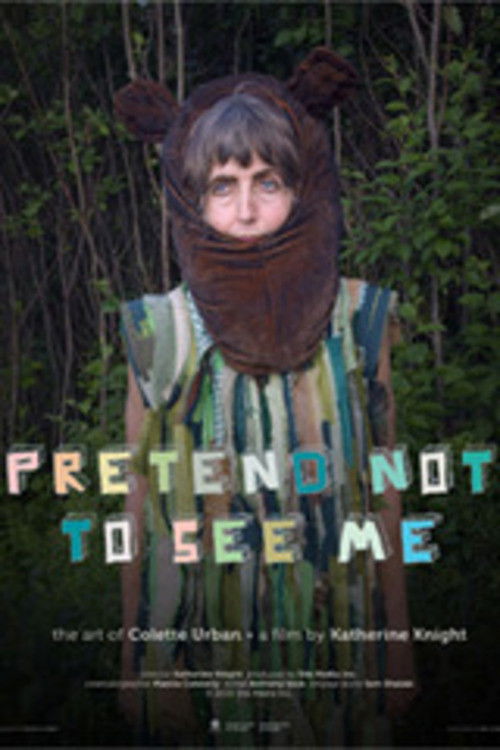 Pretend Not to See Me (2009) poster