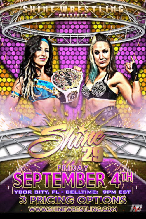 SHINE 29 (2015) poster
