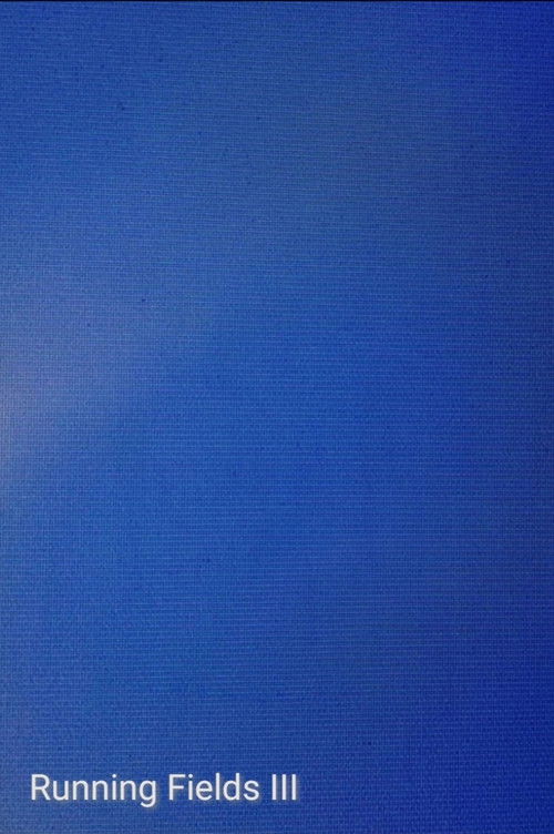 Running Fields III (2024) poster