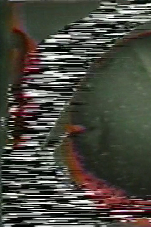 Soundgated Images (1974) poster