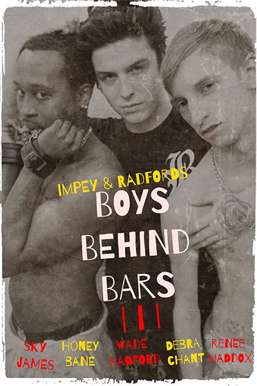 Boys Behind Bars 3 (2015) poster