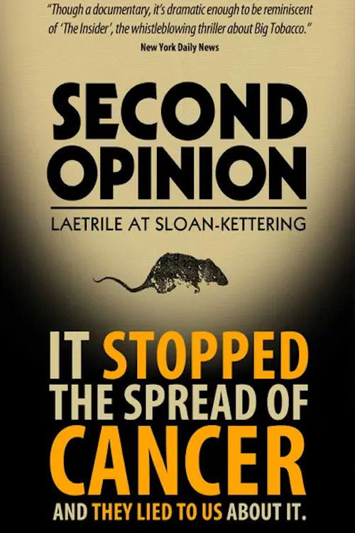Second Opinion (2014) poster