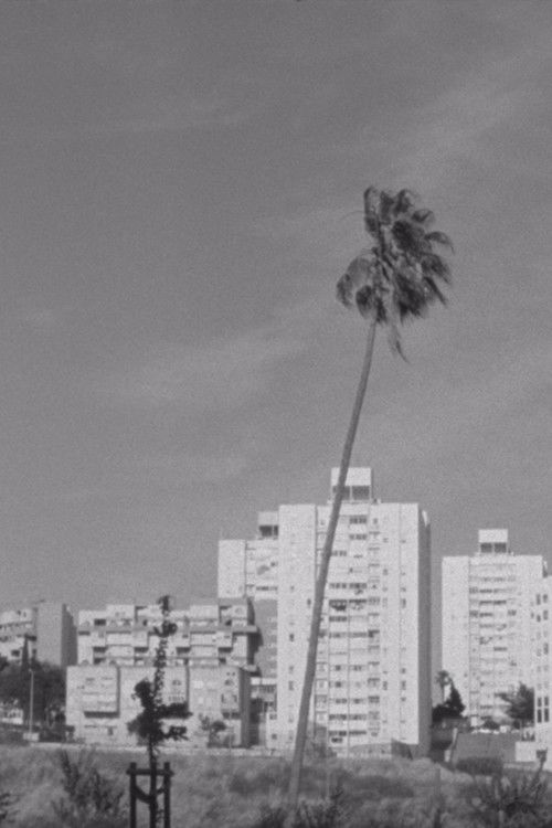 Thirteen Ways of Looking at a Blackbird (2021) poster