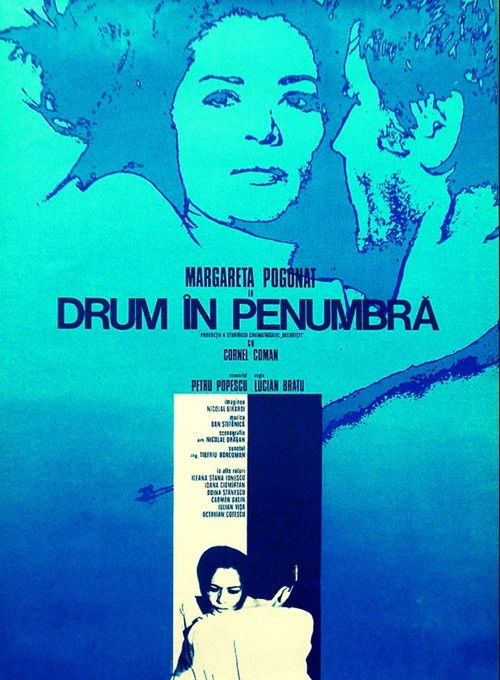 Through Dusky Ways (1972) poster