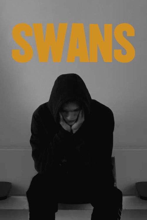 Swans (2011) poster