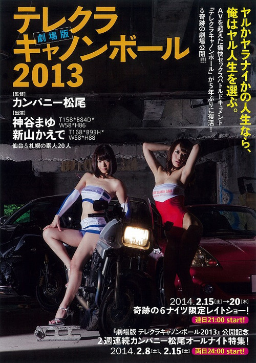 The Sex Cannon Ball Run 2013 (2014) poster