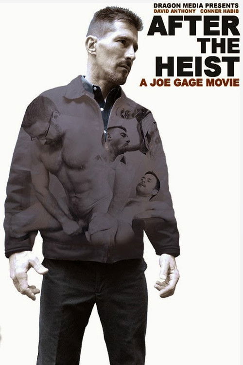 After the Heist (2012) poster