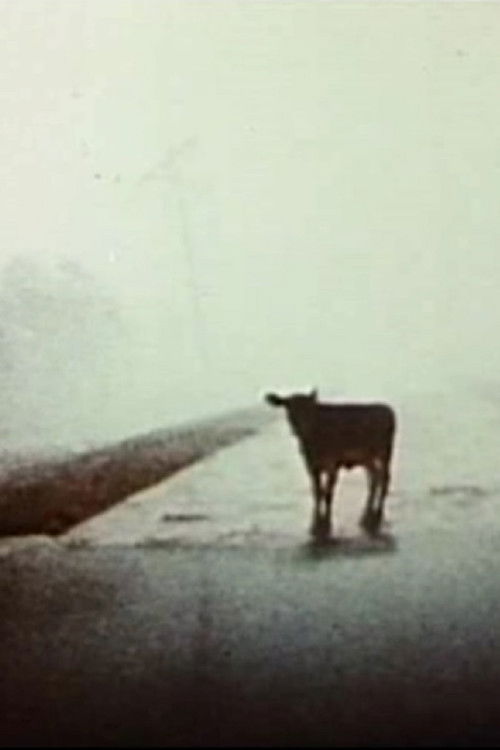 Everywhere at Once (1985) poster