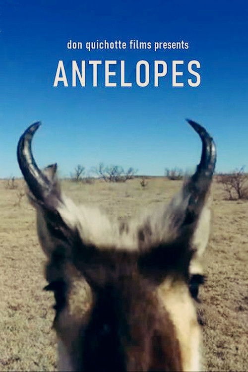 Les Antilopes (2020) poster