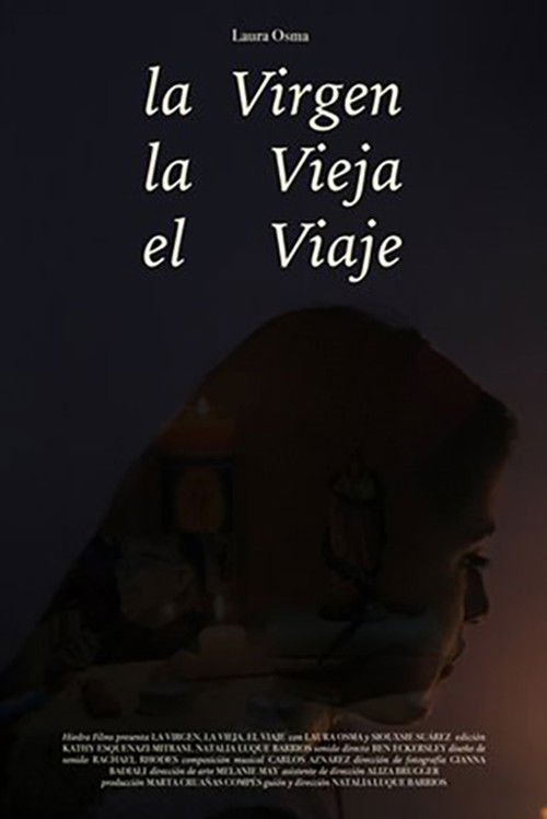 The Virgen, The Old Lady, The Journey (2020) poster