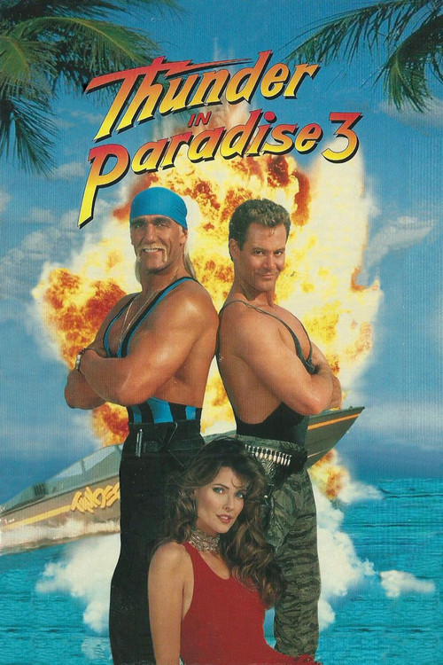 Thunder in Paradise 3 (1995) poster