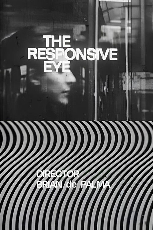 The Responsive Eye (1965) poster