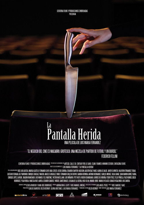 La pantalla herida (2014) poster