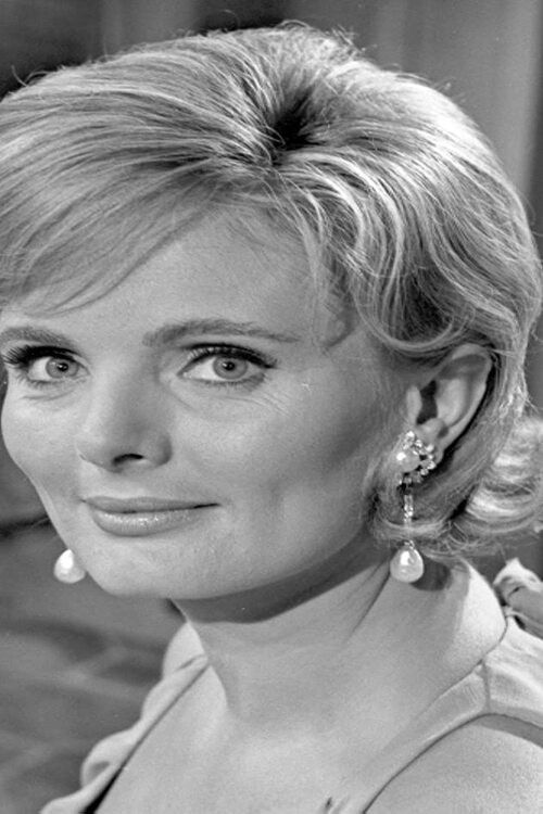 Ein idealer Gatte (1966) poster