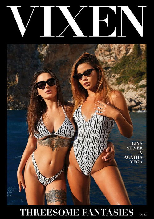 Threesome Fantasies 12 (2022) poster