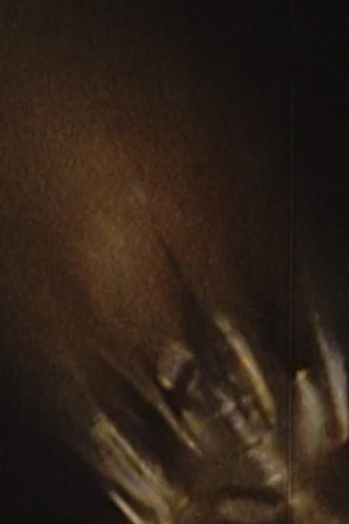 Micromoth (2000) poster