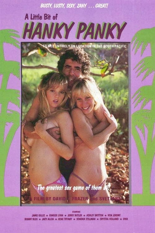 A Little Bit of... Hanky Panky (1984) poster