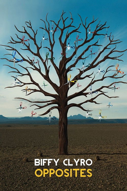 Biffy Clyro: Opposites (2013) poster