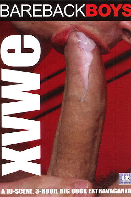 XVWE (2011) poster