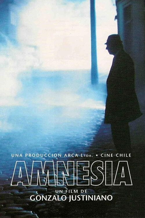 Amnesia (1994) poster
