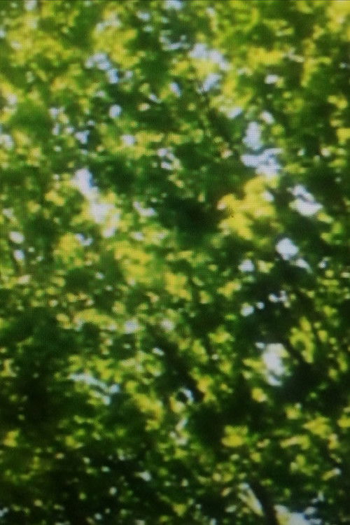 Feuilles vertes (2025) poster