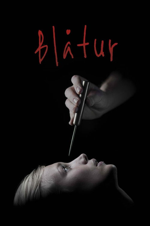 Blåtur (2013) poster