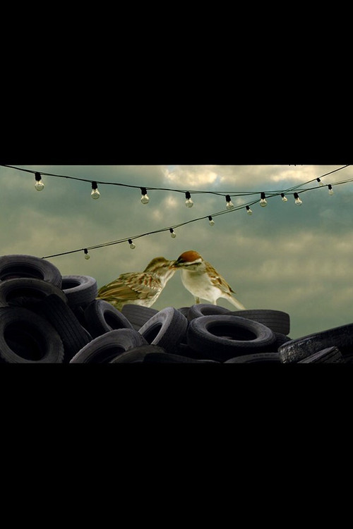 Season of Wonder (2015) poster