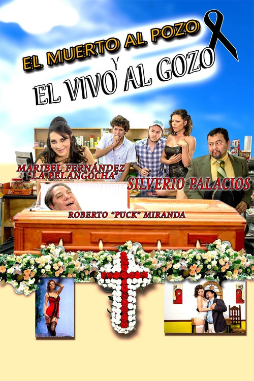 El muerto al pozo y el vivo al gozo (2014) poster