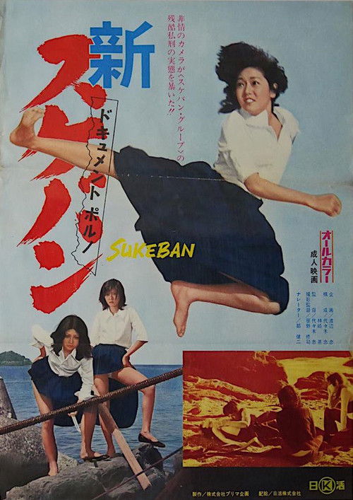 New Document Porno: Sukeban (1973) poster