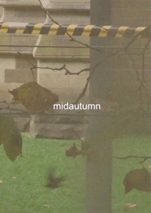 midautumn (2024) poster