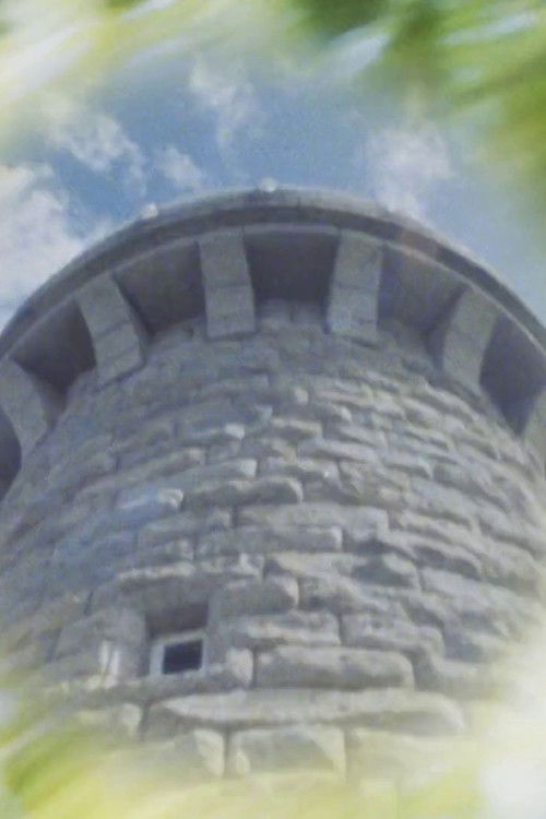 Like a Lighthouse (2023) poster